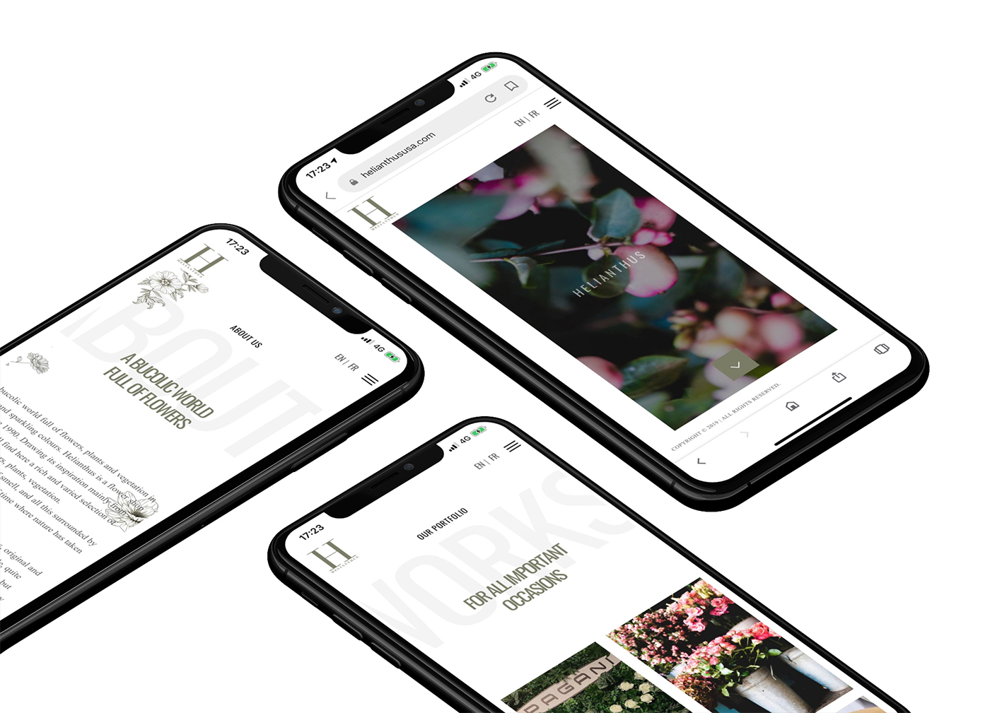 helianthus fleuriste